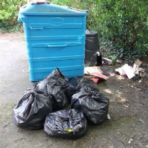 Village recycling bins reprieved